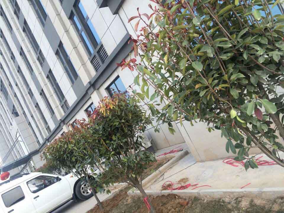 河南满冠（中国）总代理