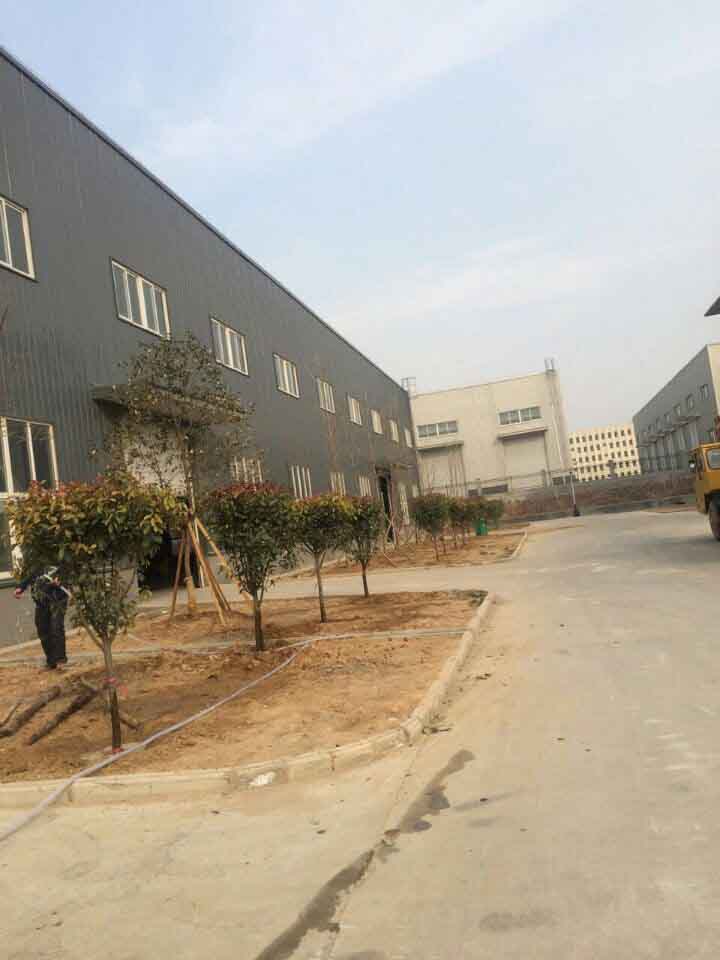 绿色满冠（中国）