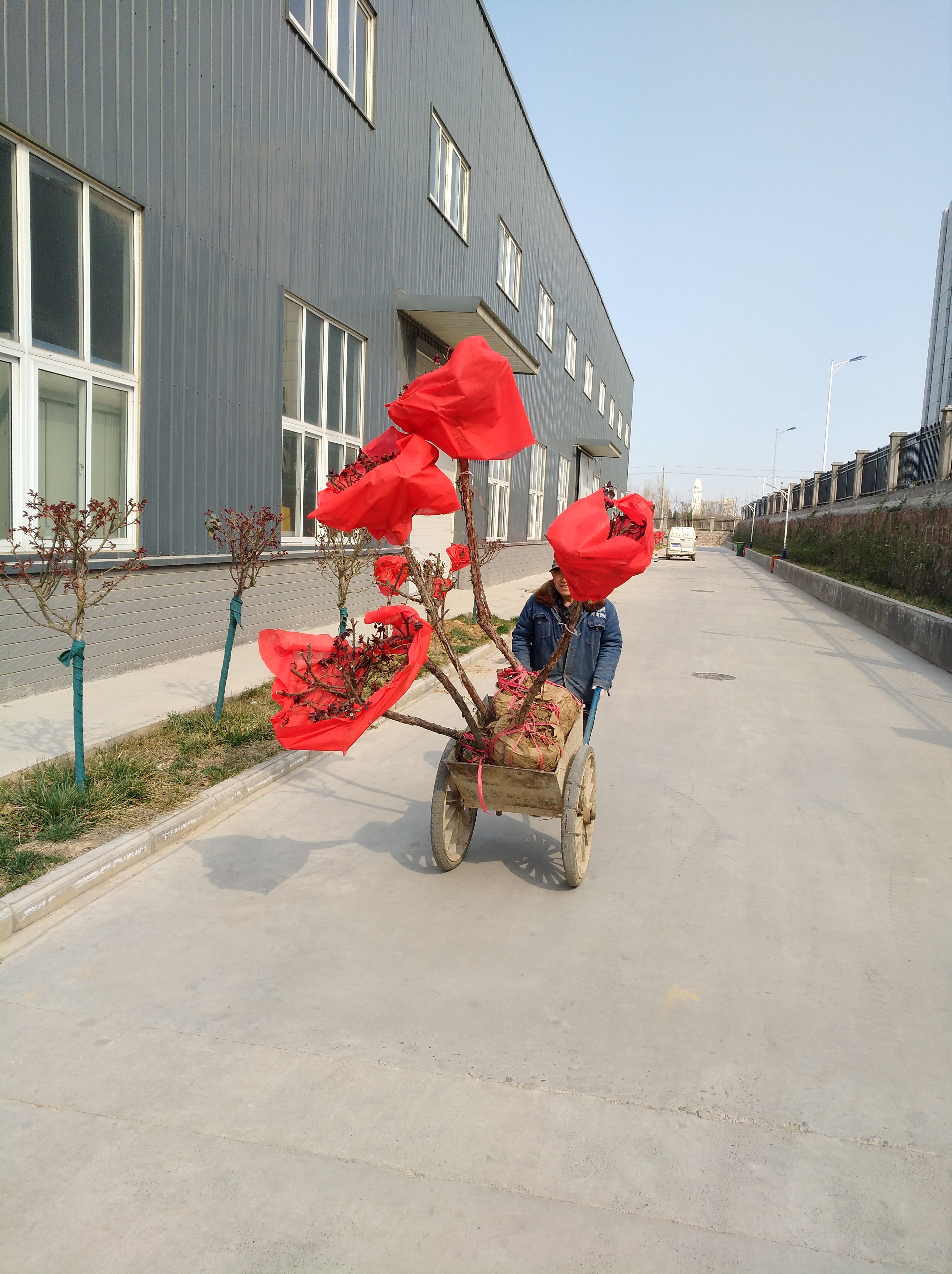 河南路友 满冠（中国）总代理