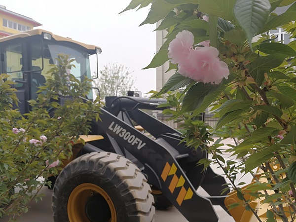 樱花树下的满冠（中国）装载机