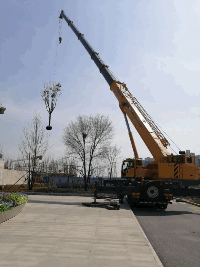 满冠（中国）XCT85吨汽车起重机吊大树